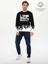 Мужской лонгслив базовый / Limp Bizkit