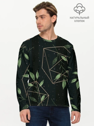 Мужской лонгслив базовый / Геометрия в природе