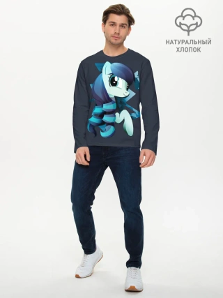 Мужской лонгслив базовый / Мой маленький пони