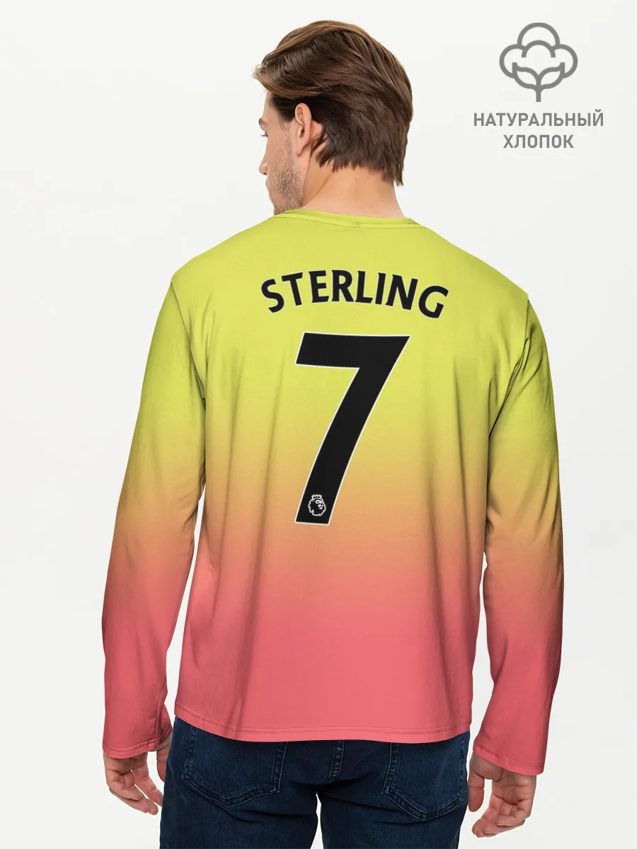 Мужской лонгслив базовый / Sterling third 19-20