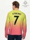 Мужской лонгслив базовый / Sterling third 19-20