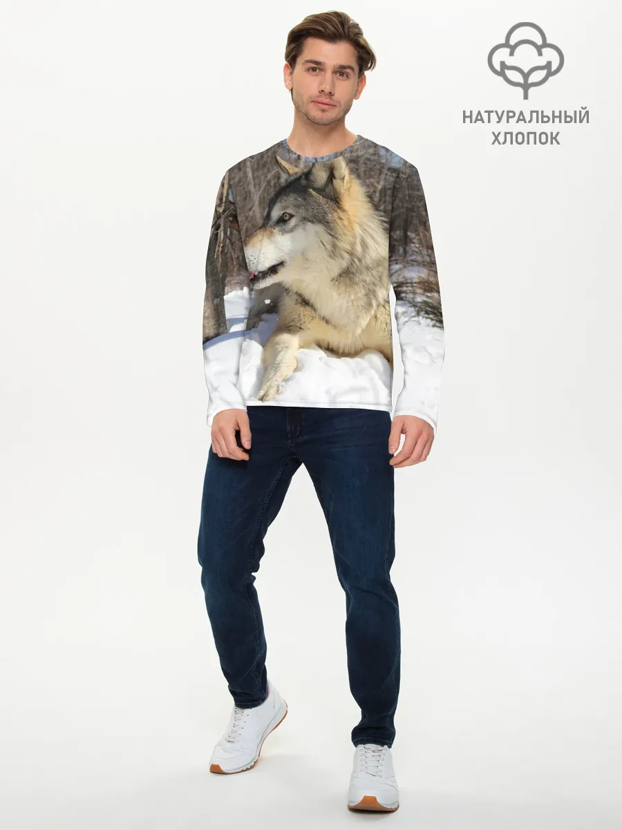 Мужской лонгслив базовый / Волк лежит на снегу