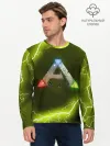 Мужской лонгслив базовый / Ark Survival Evolved