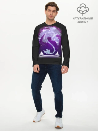 Мужской лонгслив базовый / Как приручить дракона