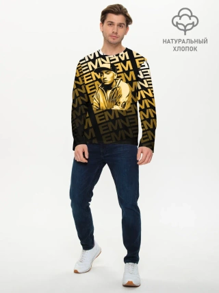 Мужской лонгслив базовый / Eminem