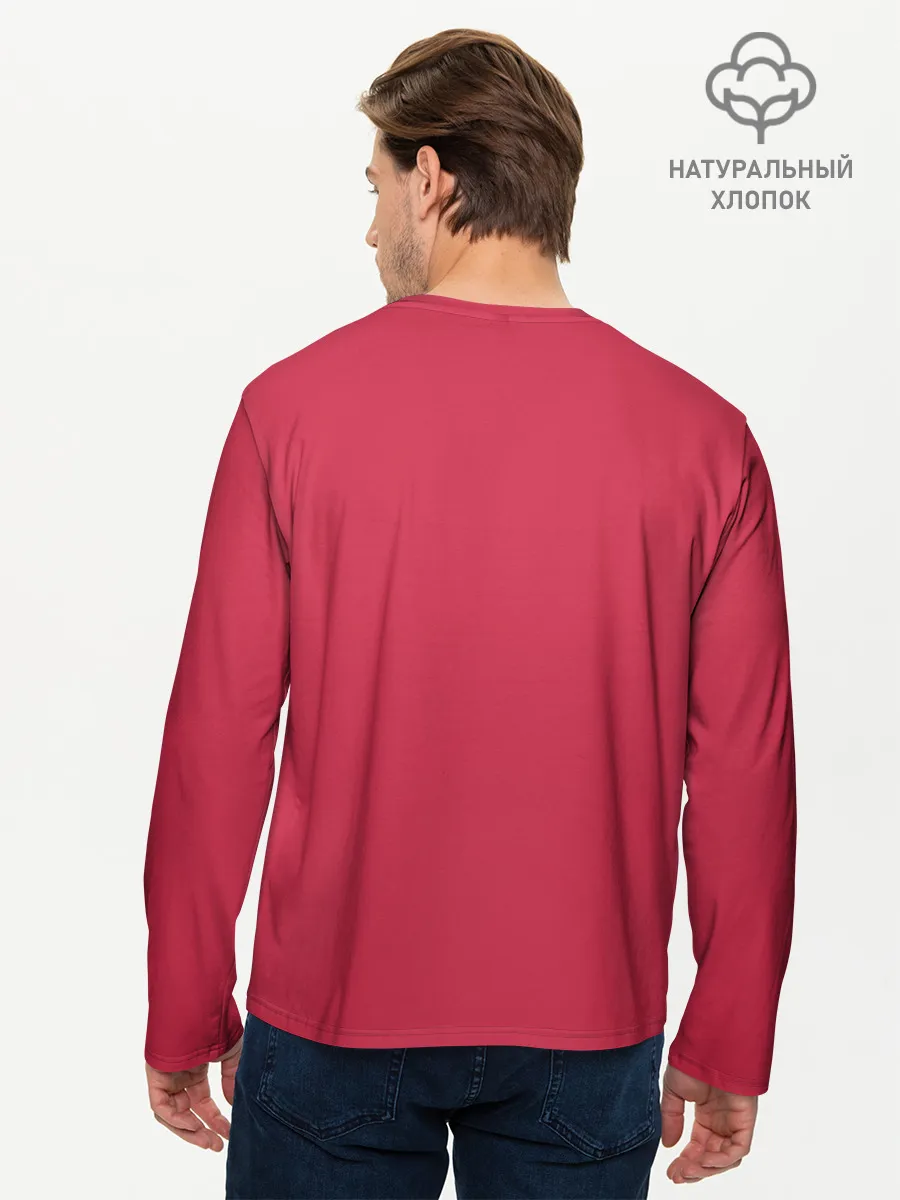 Мужской лонгслив базовый / Hollow Knight