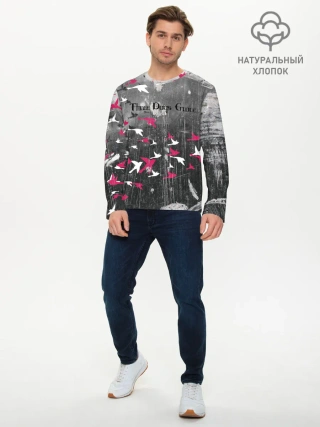 Мужской лонгслив базовый / Three Days Grace art