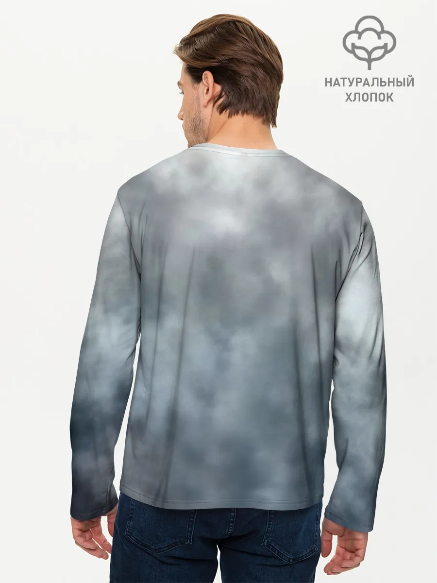 Мужской лонгслив базовый / ASSASSINS CREED.