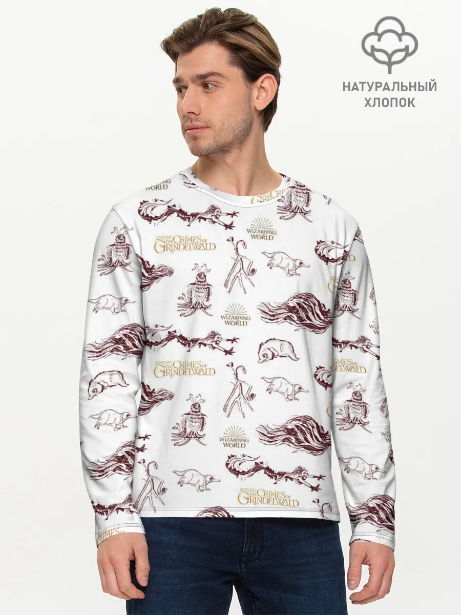 Мужской лонгслив базовый / Fantastic Beasts