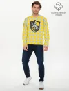 Мужской лонгслив базовый / Coat of Hufflepuff