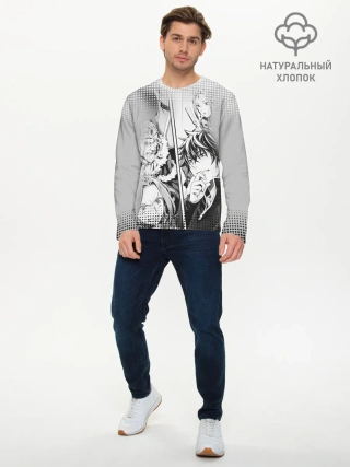 Мужской лонгслив базовый / The Rising of the Shield Hero