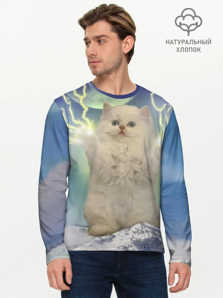 Мужской лонгслив базовый / Грозовой Котик