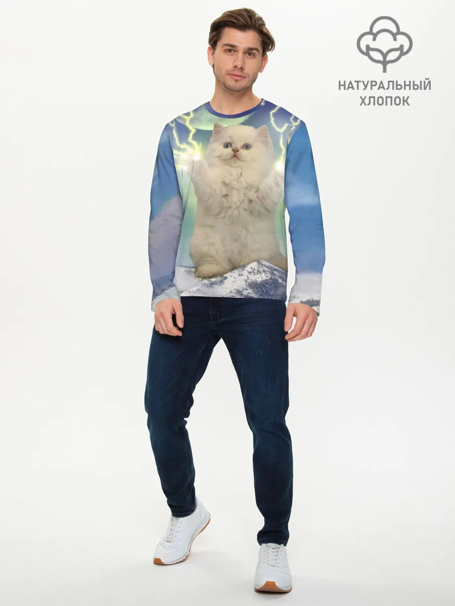 Мужской лонгслив базовый / Грозовой Котик