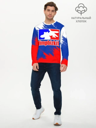 Мужской лонгслив базовый / LIMP BIZKIT