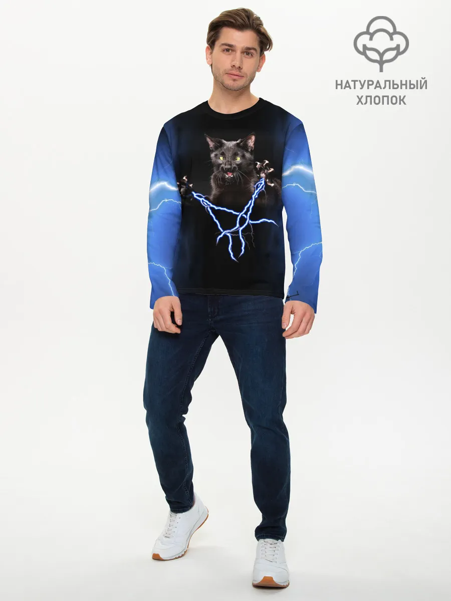Мужской лонгслив базовый / Грозовой кошак