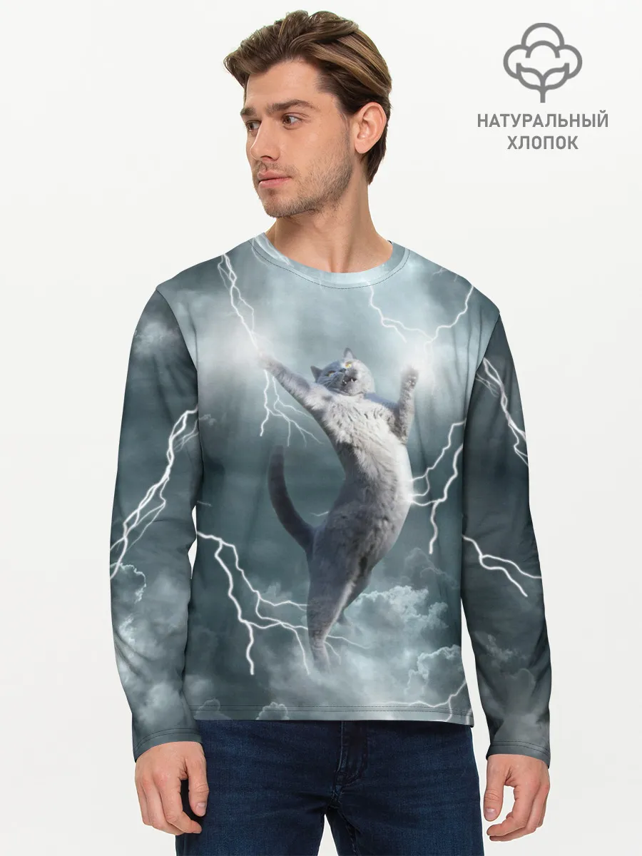 Мужской лонгслив базовый / Грозовой кошак.