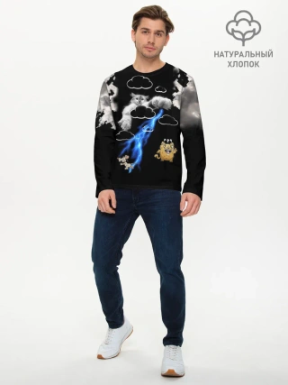 Мужской лонгслив базовый / Грозовой, кошак