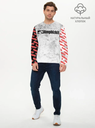 Мужской лонгслив базовый / LIMP BIZKIT