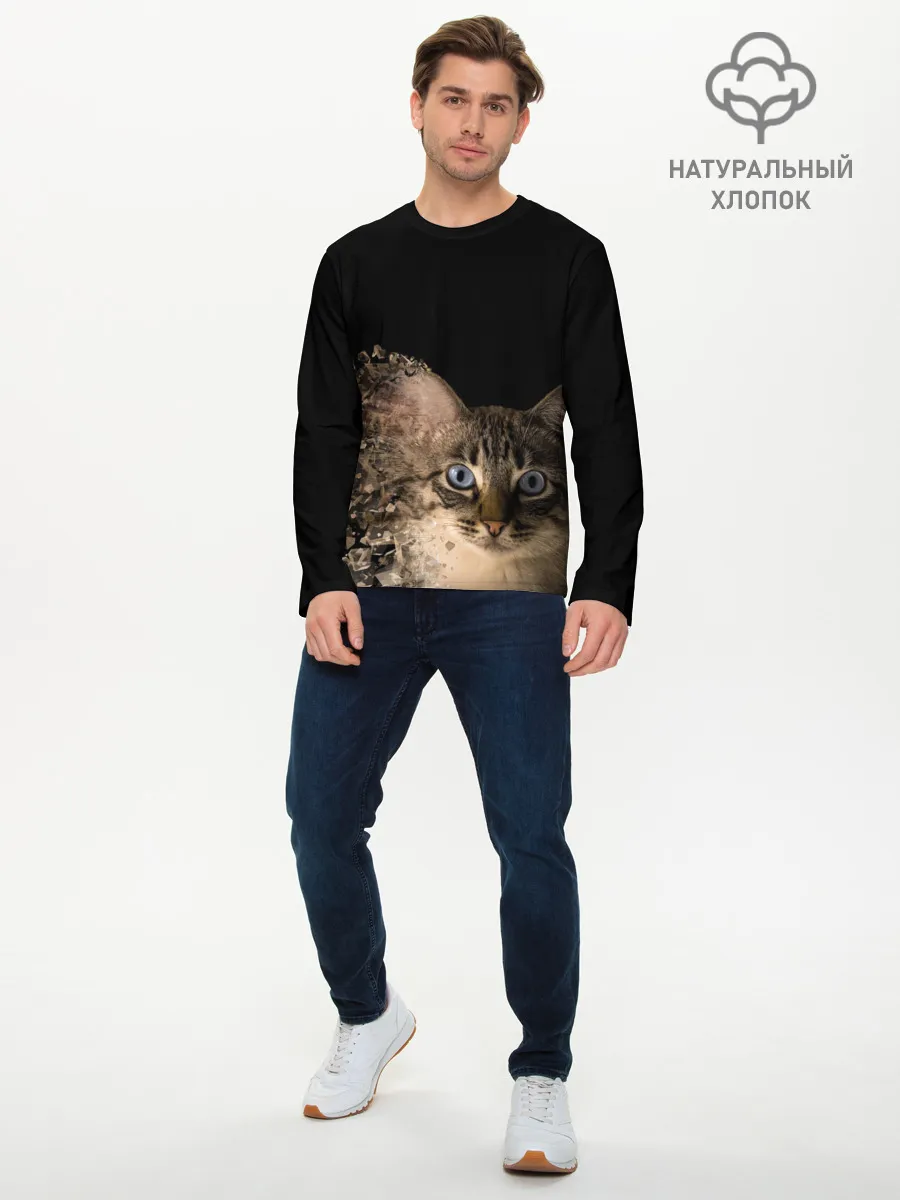 Мужской лонгслив базовый / Disintegrating Cat