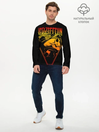 Мужской лонгслив базовый / Led Zeppelin