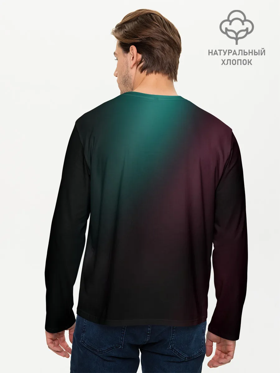 Мужской лонгслив базовый / The Division 2 Logo