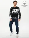 Мужской лонгслив базовый / Limp Bizkit