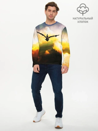 Мужской лонгслив базовый / Как приручить дракона