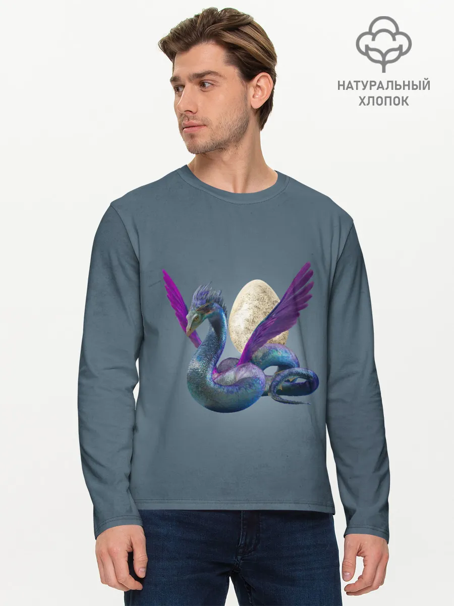 Мужской лонгслив базовый / OCCAMY