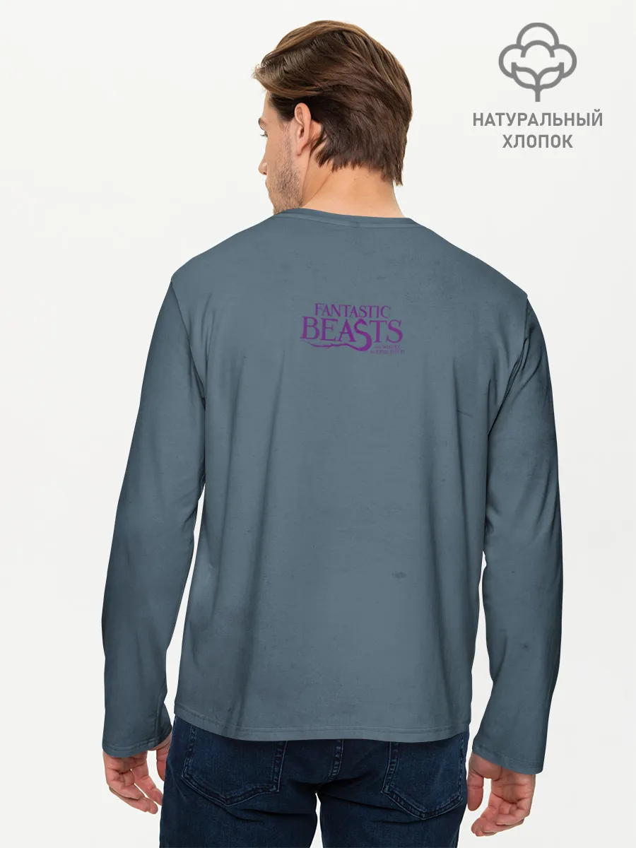 Мужской лонгслив базовый / OCCAMY