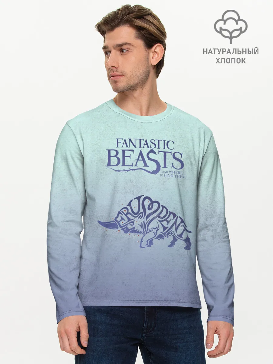 Мужской лонгслив базовый / Erumpent