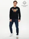 Мужской лонгслив базовый / Wonder Woman