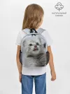 Рюкзак детский / Котенок