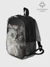 Рюкзак детский / Кот и мышка