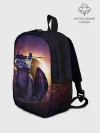 Рюкзак детский / ночная фурия