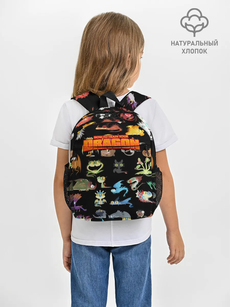 Рюкзак детский / How to Train Your Dragon