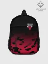 Рюкзак детский / CHICAGO BULLS