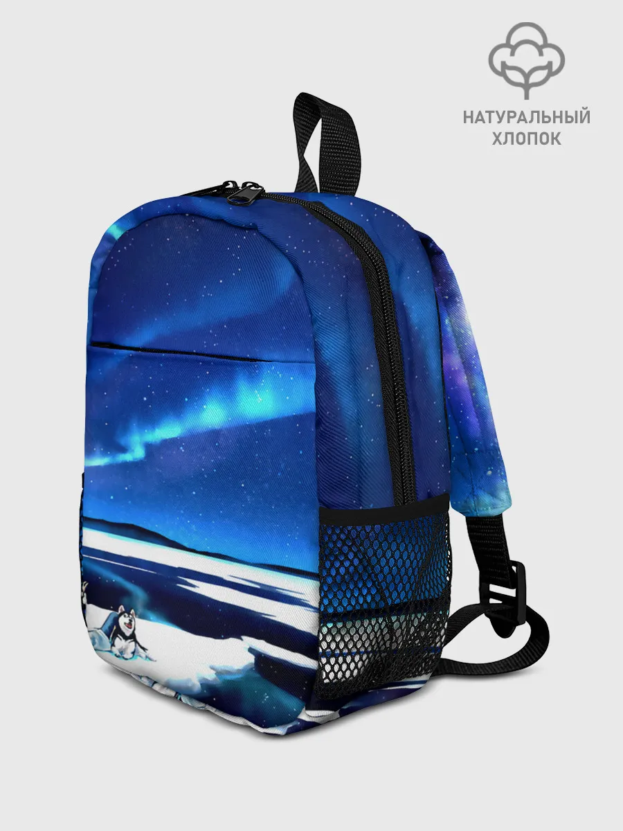 Рюкзак детский / Мальчик и Хаски