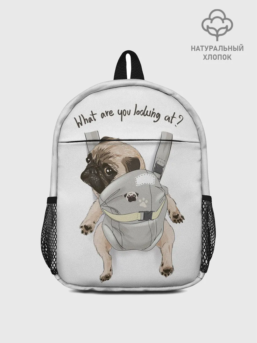 Рюкзак детский / Мопс в рюкзаке
