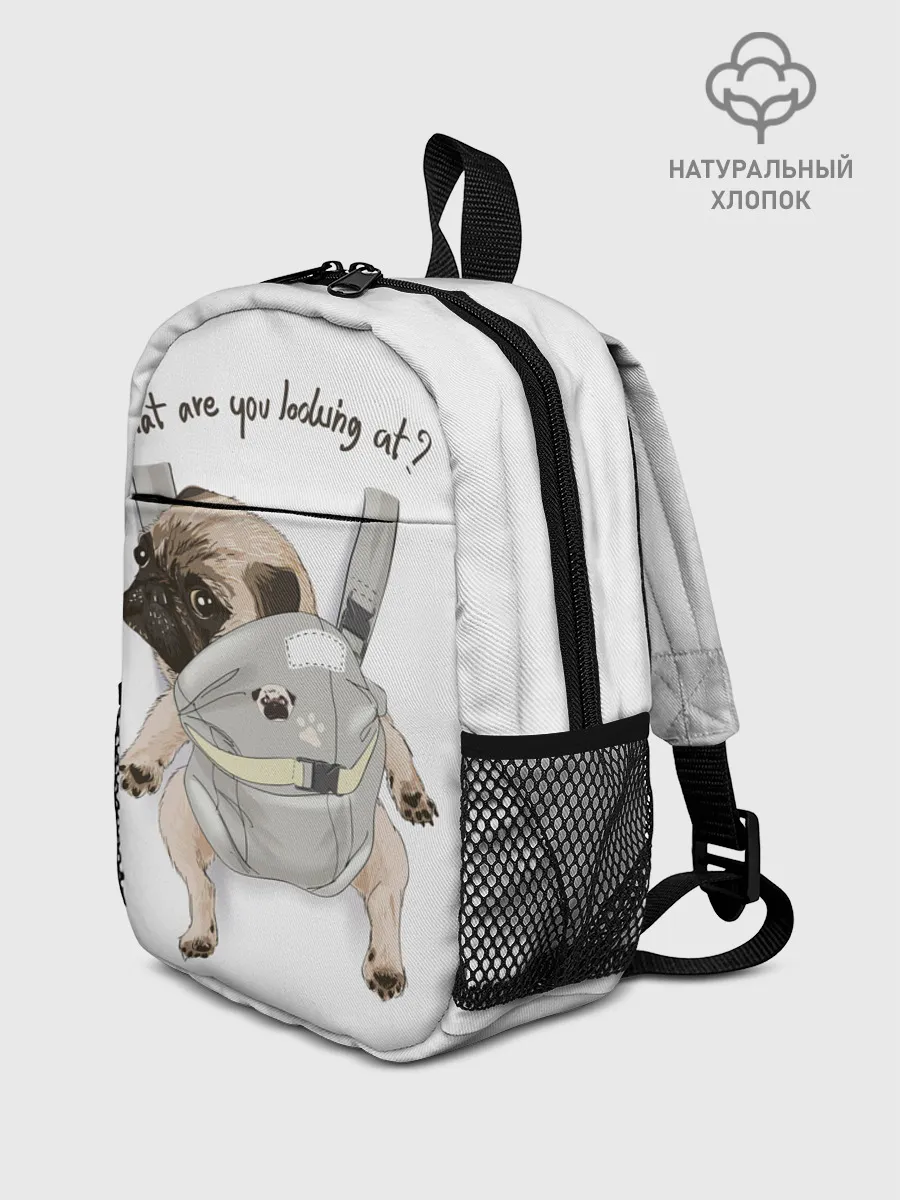 Рюкзак детский / Мопс в рюкзаке