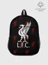 Рюкзак детский / Liverpool