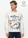 Мужской лонгслив базовый / акулы