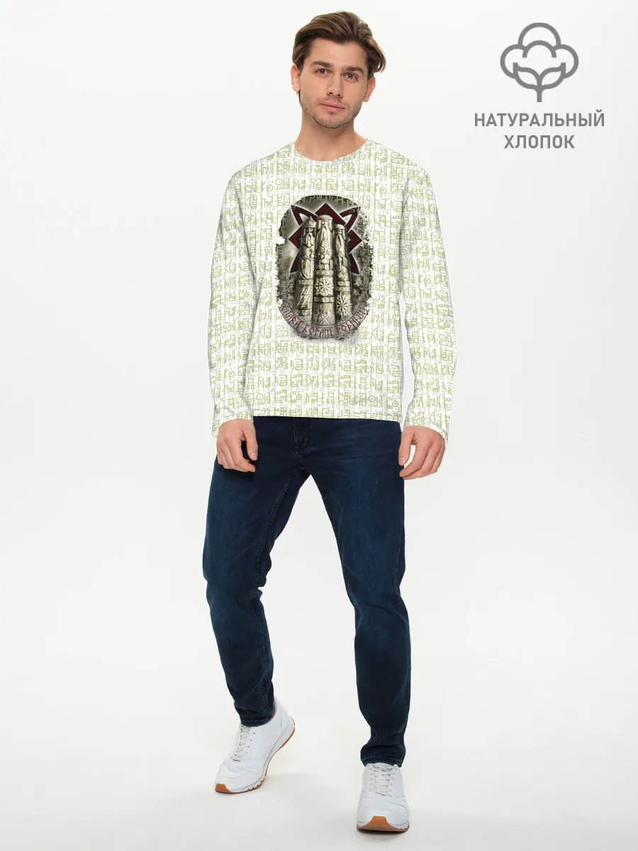 Мужской лонгслив базовый / Слава богам родным