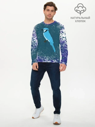 Мужской лонгслив базовый / Голубая сойка