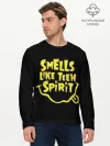 Мужской лонгслив базовый / Smells like teen spirit