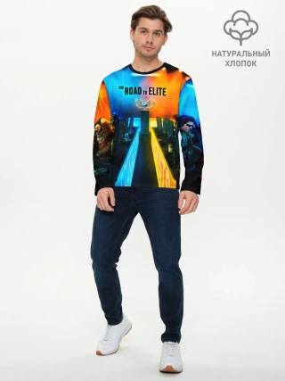 Мужской лонгслив базовый / Road to global elite