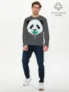 Мужской лонгслив базовый / Панда Краски Брызги