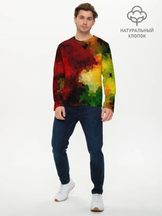 Мужской лонгслив базовый / Абстрактная мазаика витраж