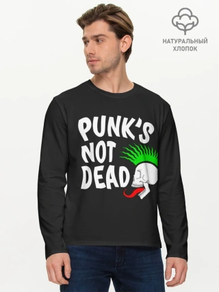 Мужской лонгслив базовый / Веселый панк