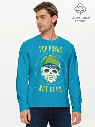 Мужской лонгслив базовый / Pop punk fan