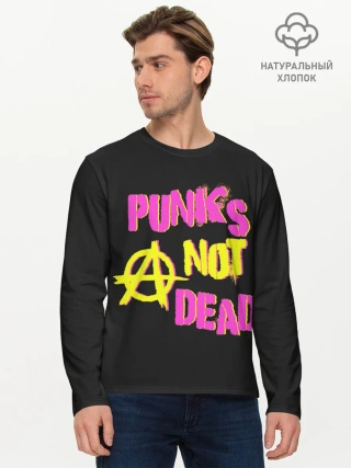 Мужской лонгслив базовый / Панк анархия
